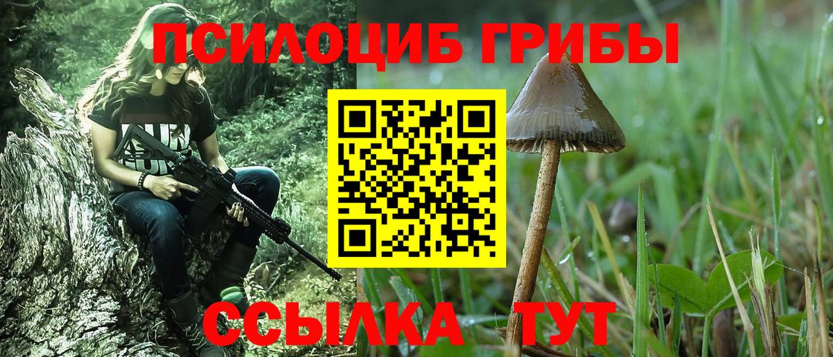 Нерюнгри  Галлюциногенные грибы MAGIC MUSHROOMS  Вход с VPN 