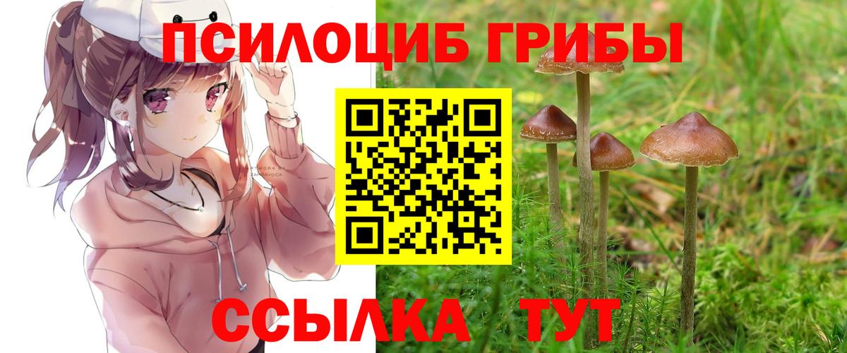 Галлюциногенные грибы Cubensis Нерюнгри